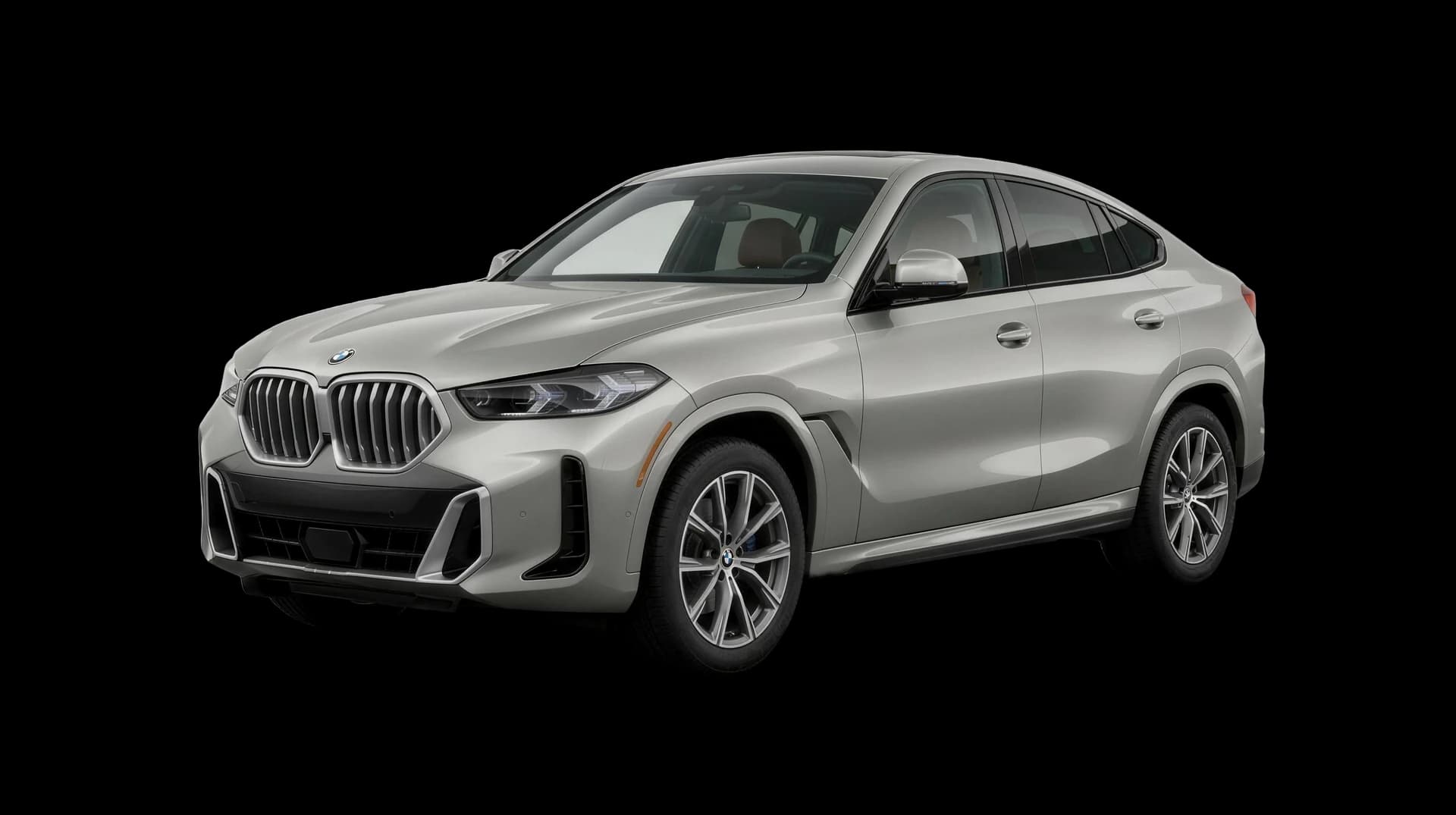 2026 BMW X6